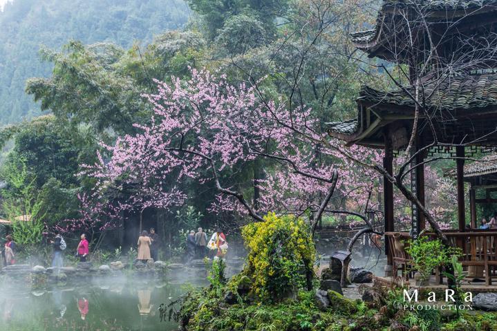 拯救精灵的土地6