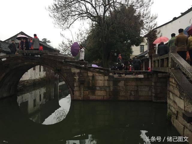 破碎的动物图形3